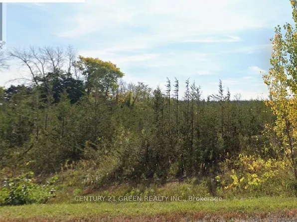 1034 Lazier Rd, Tyendinaga, ON K8N 4Z6