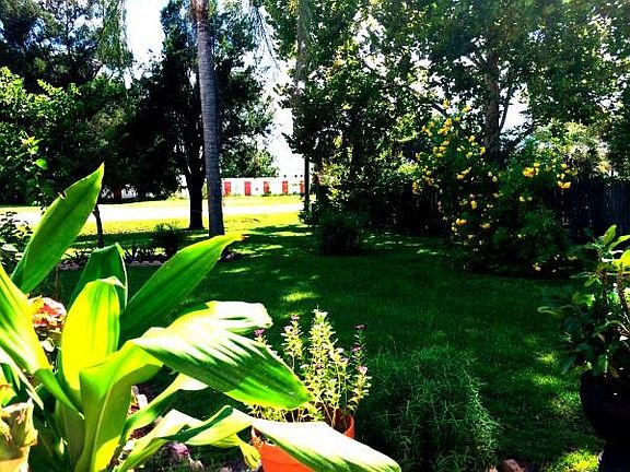 Large, Lush Front Yard