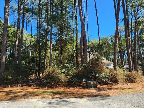 525 Dingy Ct #525, Greenbackville, VA 23356