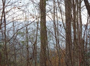 46 Widgeon Way, Whittier, NC 28789