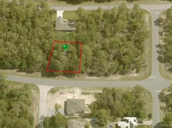 1985 W G Martinelli Blvd, Citrus Springs, FL 34434