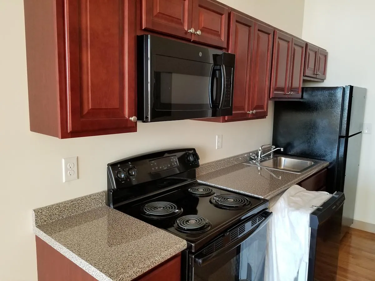 1 bed, 770 sqft, $1,075 — Photo 3