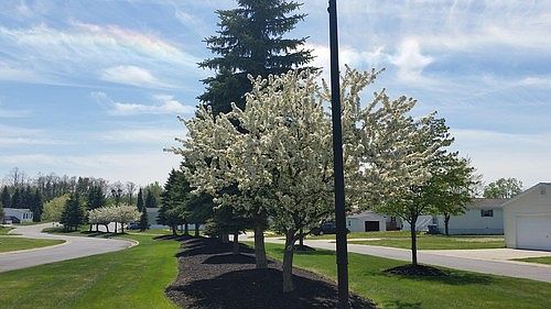 2nd image of 4236 Sunnybrook