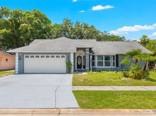 28710 Twinbrook Ln, Wesley Chapel, FL 33543