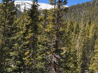 30 Brook Dr, Idaho Springs, CO 80452