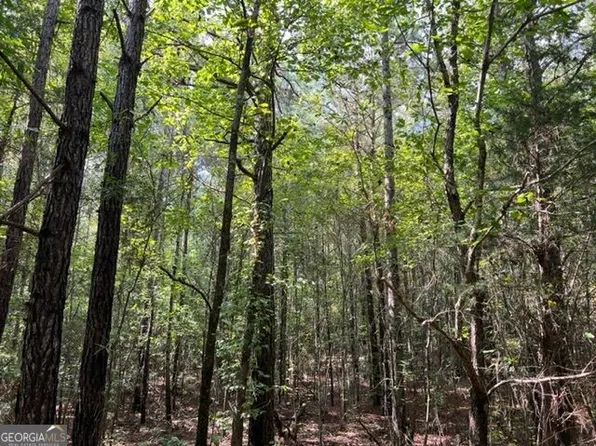 0 Lipham Rd, Franklin, GA 30217