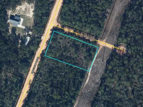 0 Lewis Ct, Alford, FL 32420