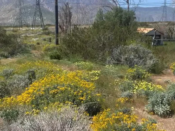 E Cottonwood Rd, Palm Springs, CA 92262