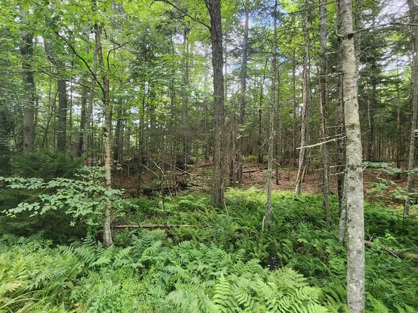 Map 14 Lot 324 Adams Drive, Washington, NH 03280