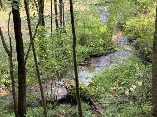 4 George Rd, Topton, NC 28781