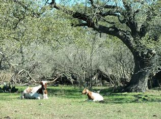 905 Hugo Rd, San Marcos, TX 78666