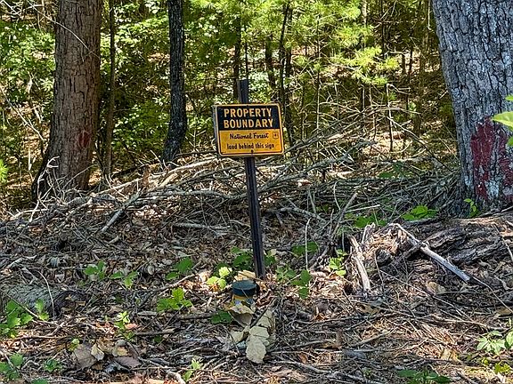4th image of 442 Slide Mountain Rd