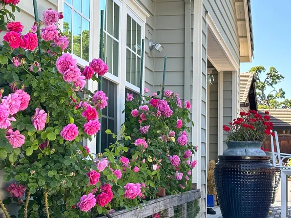 310 Wingfield Ct, Danville, CA 94526