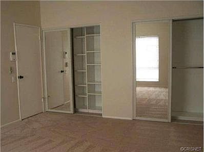 Large Master Bedroom with customized mirrored closet organizers.