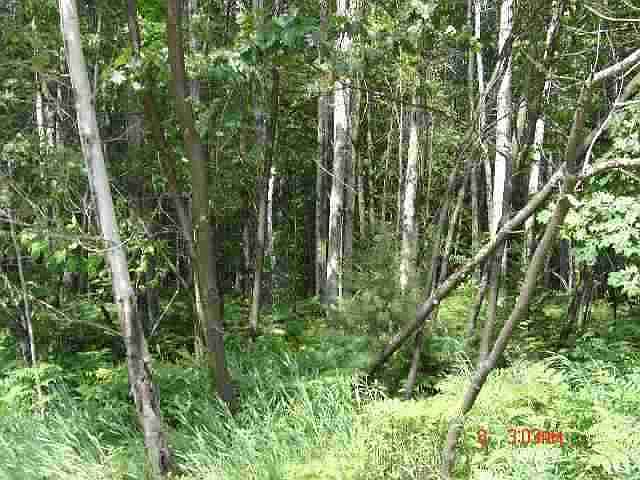 1st image of 0 Springwood Dr