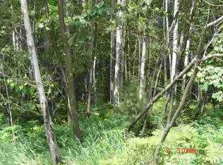 0 Springwood Dr, Houghton Lake, MI 48629