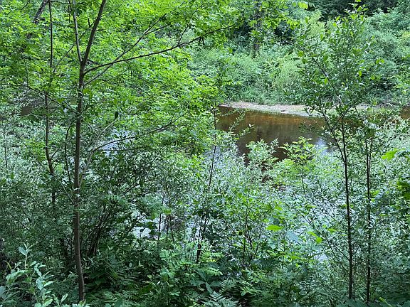 5th image of S Woods Rd