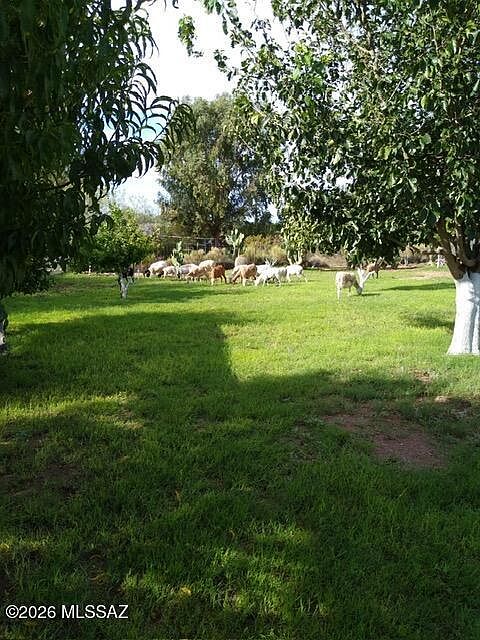 2nd image of 10783 S Swan Rd