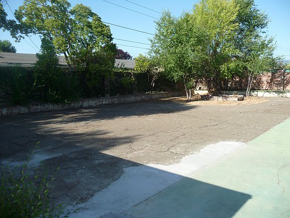 Back yard