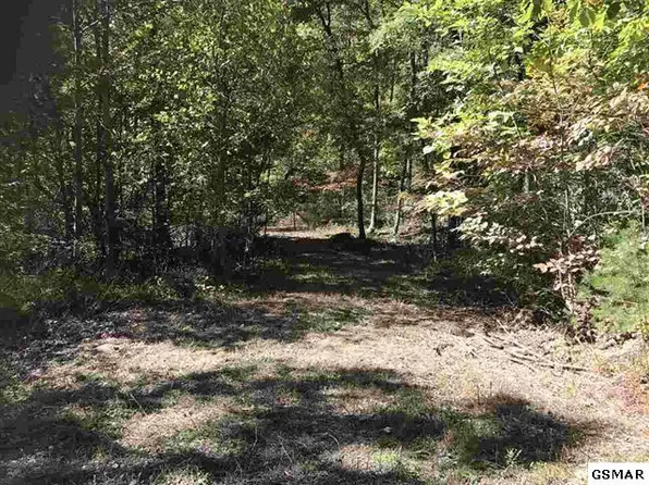 Comet Way, Cosby, TN 37722