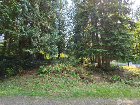 27703 NE 35th Street NE, Redmond, WA 98053