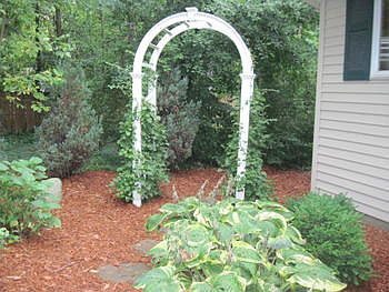 Newly landscaped and mulched garden area with trellis.