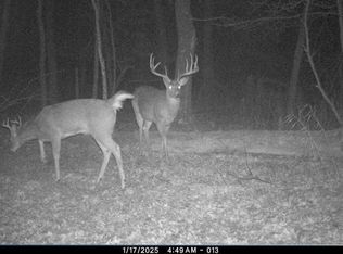 N8510 Fish Rd, New Lisbon, WI 53950