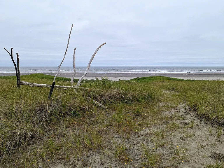 23803 J Pl W — Photo 20