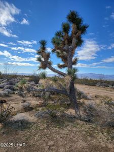 2328 S Tom Mix Rd, Yucca, AZ, 86438