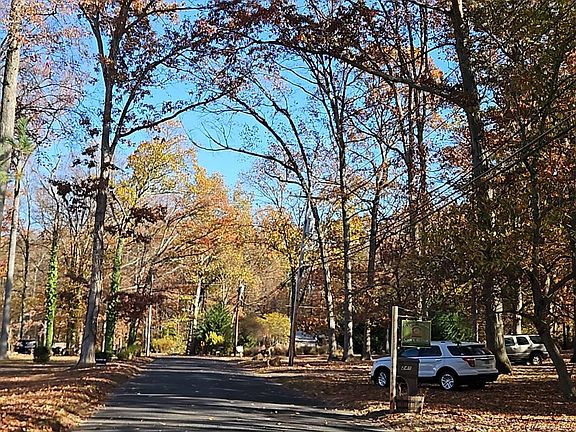 4th image of 248 Burrs Rd