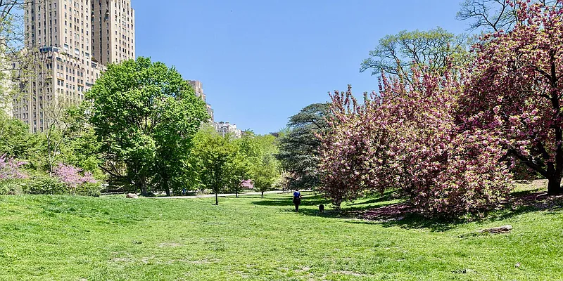 Rented by PennApts | media 11