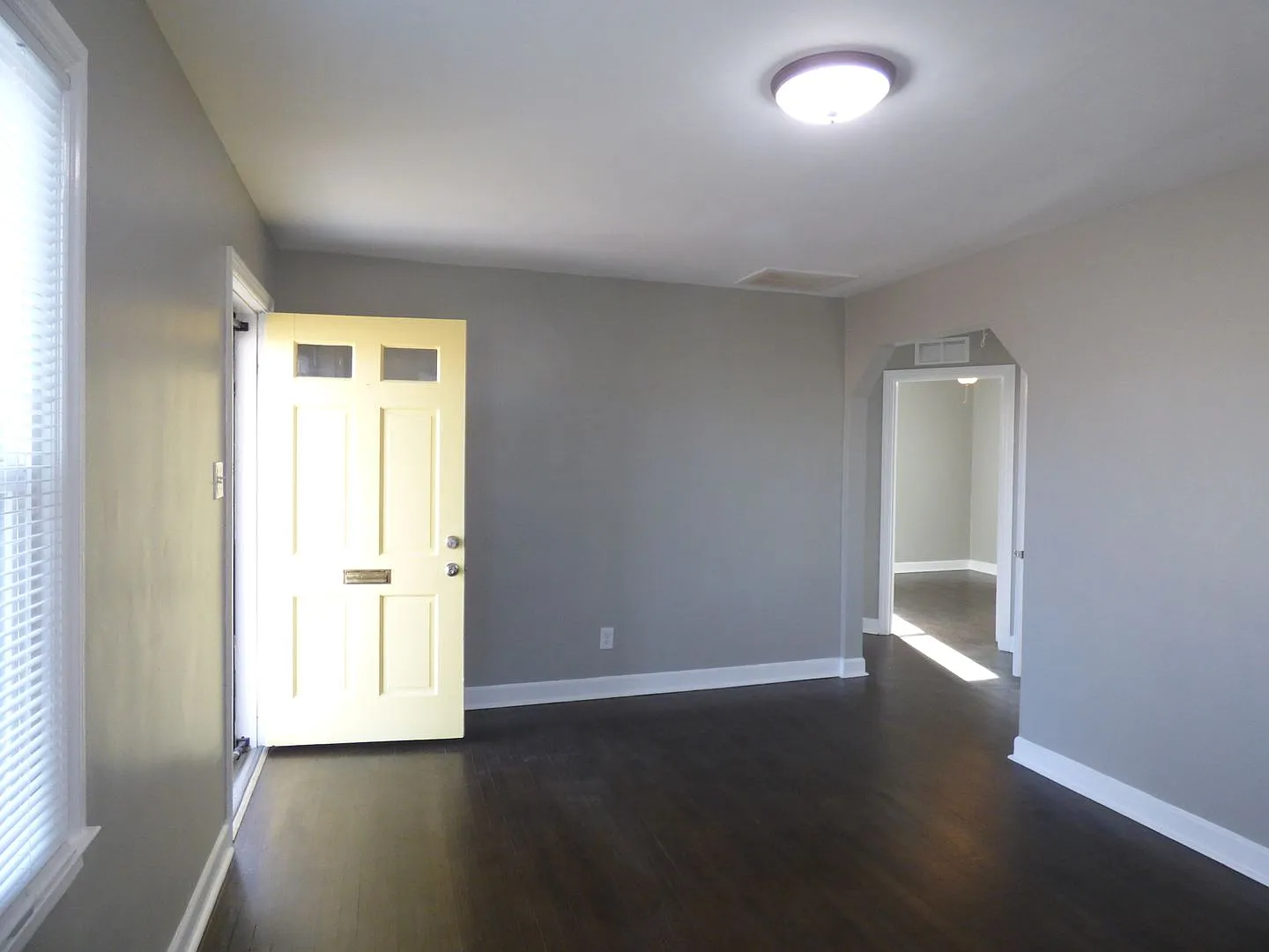 Coming Soon! Recently Renovated House Near North Limestone! All Electric, Garage, Dogs Ok! — Photo 3