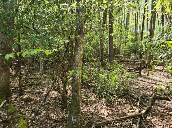 24 Mull Ln, Blairsville, GA 30512