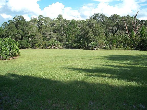 Front Clearing Looking SE   