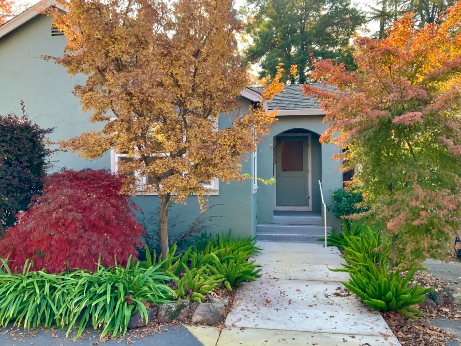 8020 Sacramento St photo 1