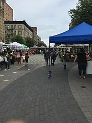 Rented by New Vista Horizons, Inc.