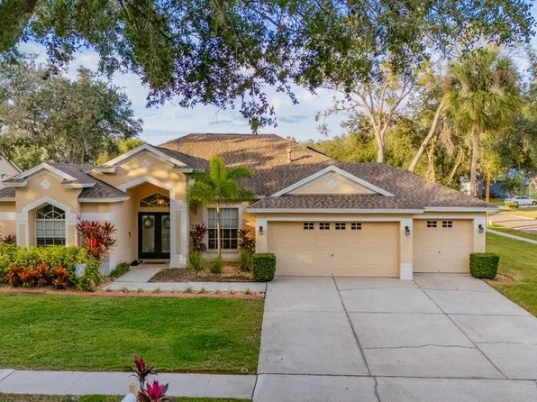 12537 River Birch Dr, Riverview, FL 33569