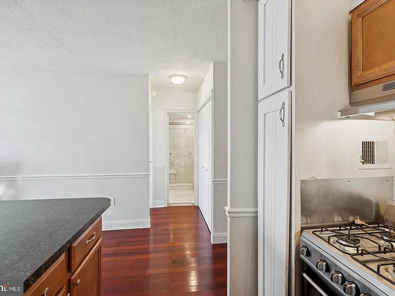 2101 Chestnut St #17-1412 — Photo 6