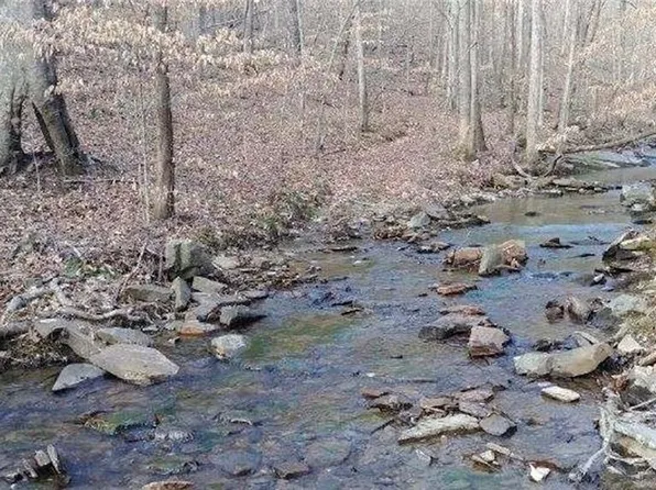 508 Pearl Johnson Rd SE, Ranger, GA 30734