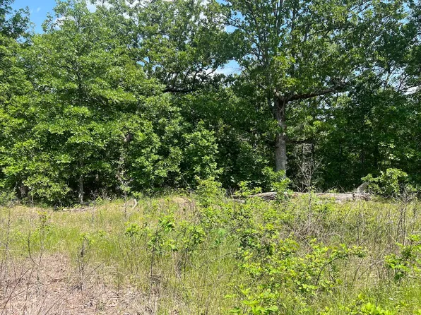 Tbd County Road 323, Thayer, MO 65791