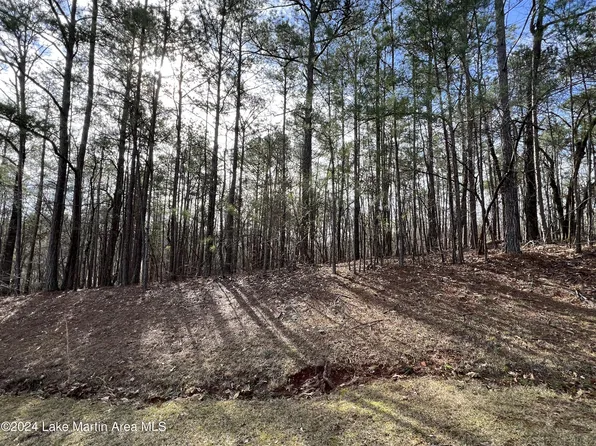 6 Prestwick Dr, Dadeville, AL 36853