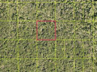Access Rd Lot 113, Oak Hill, FL 32759