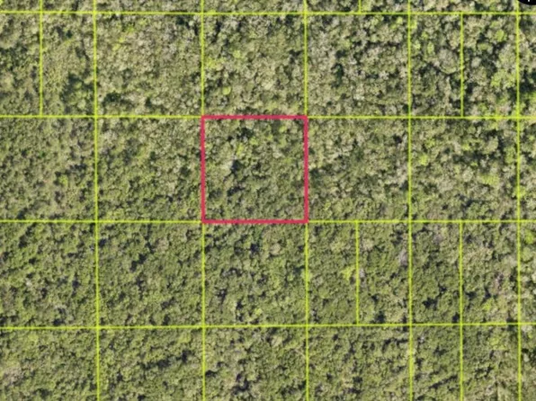 Access Rd Lot 113, Oak Hill, FL 32759