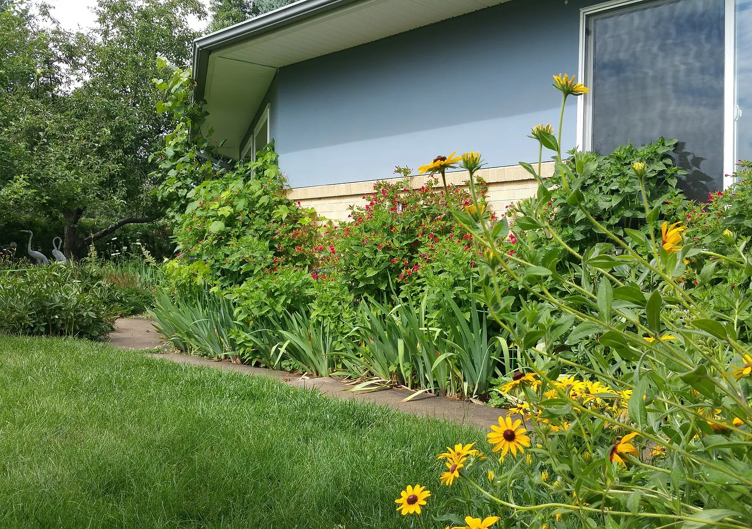 Grape Vines On Grape Ave: 3 Bed/2 Bath Ranch In Amazing Location In Old North Boulder! — Photo 3