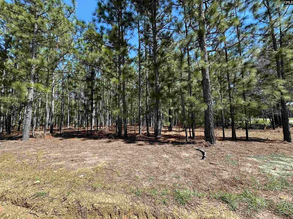 223 Mimosa Dr #1-2-5, Gaston, SC 29053