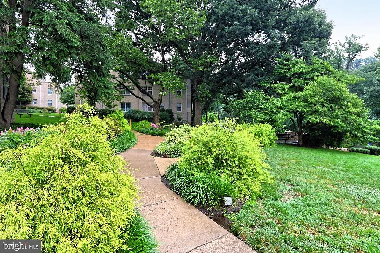 3 bed, 864 sqft, $950 — Photo 4