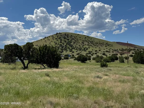 31 County Road 5203 #31, Concho, AZ 85924