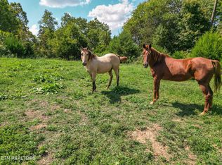 2733 Shipe Rd, Mascot, TN 37806