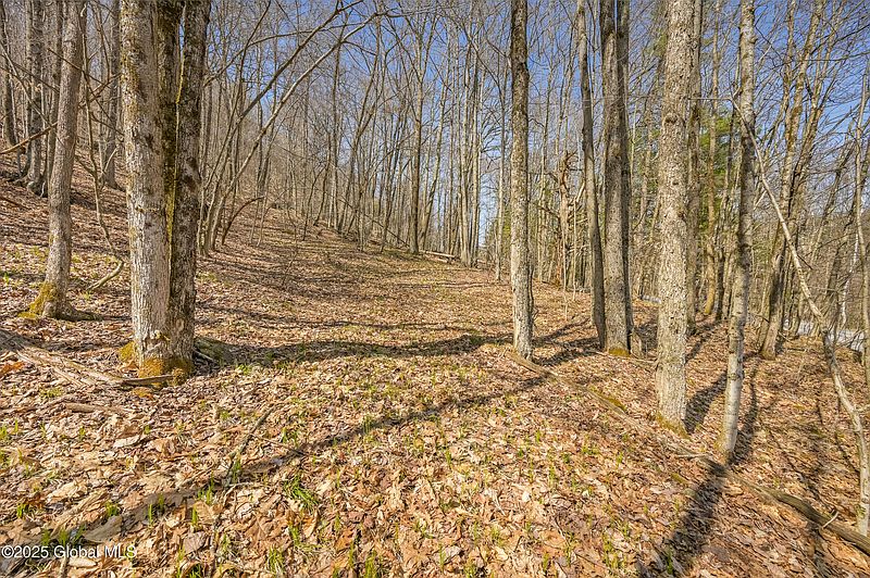 2nd image of L9.113 Lutheranville Road