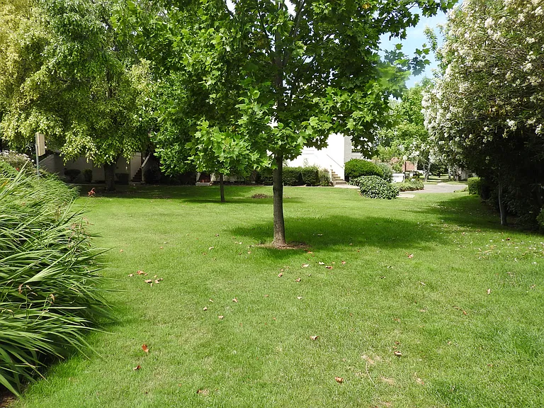 3008 Swallows Nest Dr — Photo 24